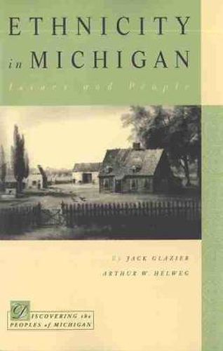 Cover image for Ethnicity in Michigan: Issues and People