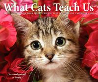 Cover image for CAL 25 WHAT CATS TEACH US 2025 BOX