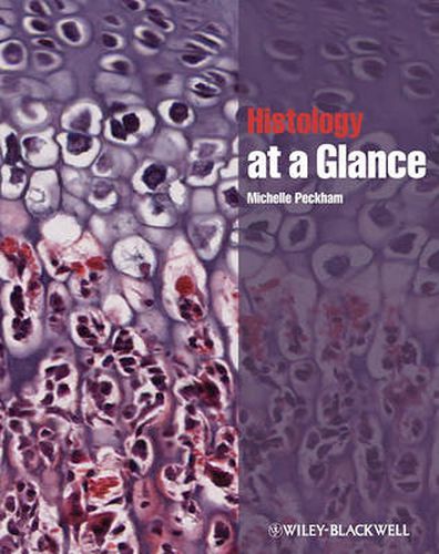 Cover image for Histology at a Glance