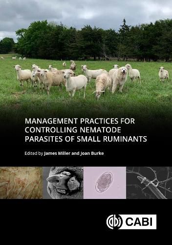 Cover image for Management Practices for Controlling Nematode Parasites of Small Ruminants