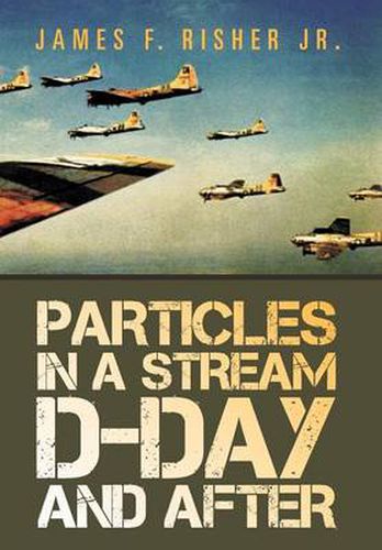 Cover image for Particles in a Stream D-Day and After