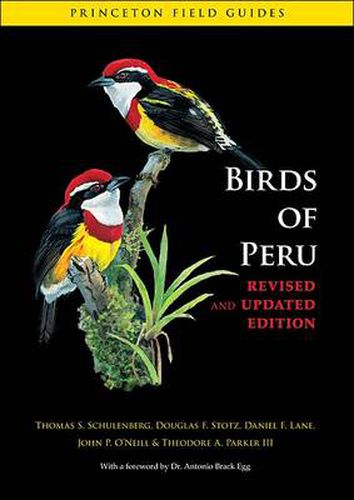 Cover image for Birds of Peru