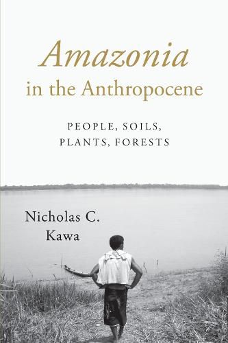 Cover image for Amazonia in the Anthropocene: People, Soils, Plants, Forests