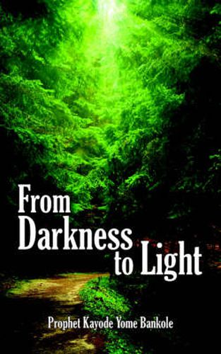 Cover image for From Darkness to Light