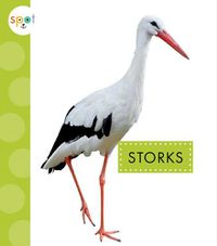 Cover image for Storks