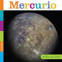 Cover image for Mercurio