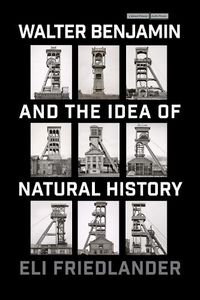 Cover image for Walter Benjamin and the Idea of Natural History