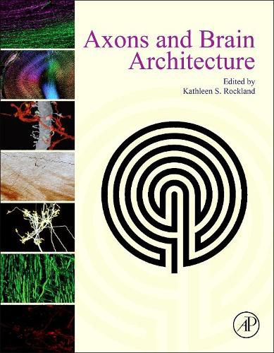 Cover image for Axons and Brain Architecture