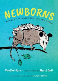 Cover image for Newborns