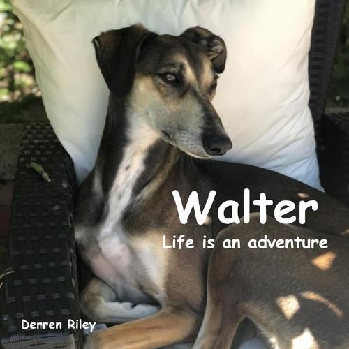 Cover image for Walter, Life is an adventure
