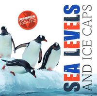 Cover image for Sea Levels and Ice Caps