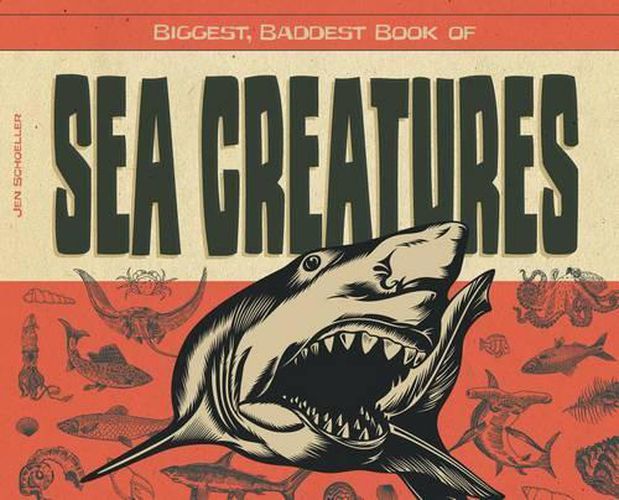 Cover image for Biggest, Baddest Book of Sea Creatures