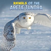 Cover image for Animals of the Arctic Tundra