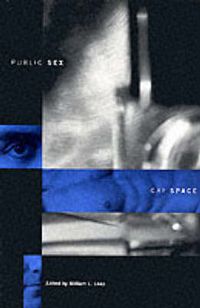 Cover image for Public Sex/Gay Space