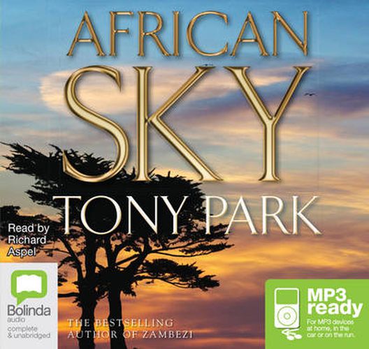 Cover image for African Sky