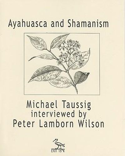 Ayahuasca and Shamanism: Michael Taussig Interviewed by Peter Lamborn Wilson