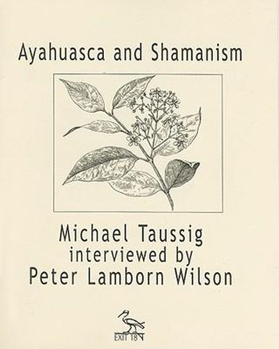 Cover image for Ayahuasca and Shamanism: Michael Taussig Interviewed by Peter Lamborn Wilson