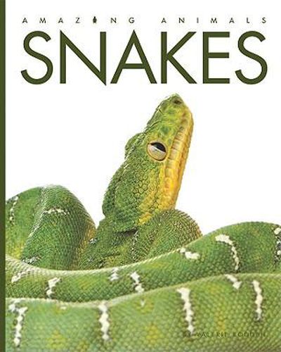 Cover image for Snakes