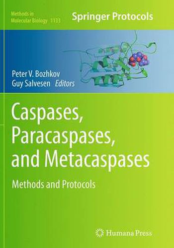 Cover image for Caspases,Paracaspases, and Metacaspases: Methods and Protocols