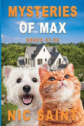 Cover image for Mysteries of Max
