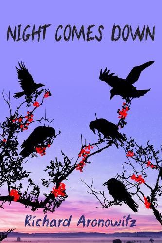 Cover image for Night Comes Down