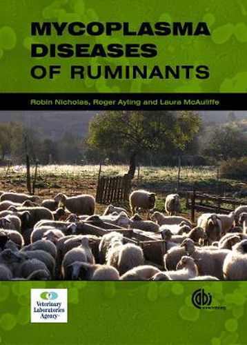 Cover image for Mycoplasma Diseases of Ruminants: Disease, Diagnosis and Control