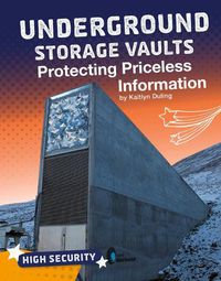 Cover image for Underground Storage Vaults: Protecting Priceless Information