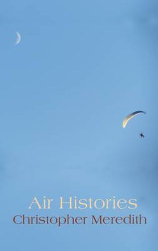 Cover image for Air Histories