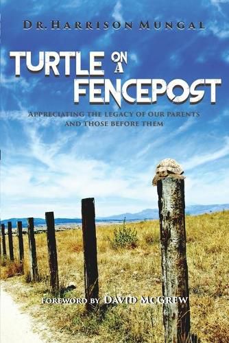 Cover image for Turtle on a Fence Post