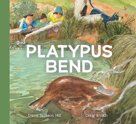 Cover image for Platypus Bend
