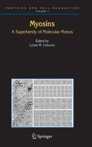 Cover image for Myosins: A Superfamily of Molecular Motors