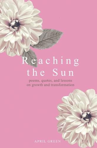 Cover image for Reaching the Sun