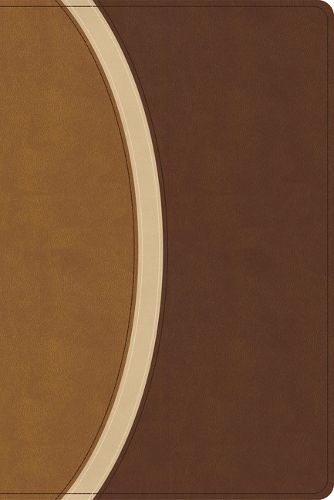 Cover image for CSB Rainbow Study Bible, Brown Leathertouch (Limited Edition)