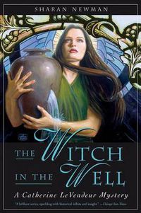 Cover image for The Witch in the Well