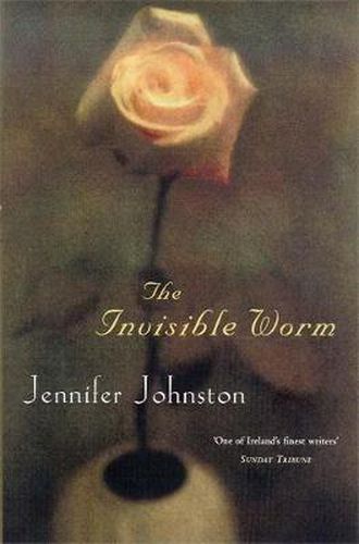 Cover image for The Invisible Worm