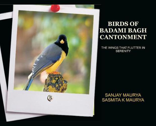 Cover image for Birds of Badami Bagh Cantonment