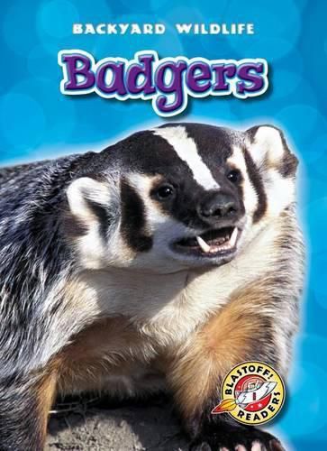 Cover image for Badgers