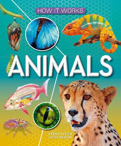 Cover image for How It Works: Animals