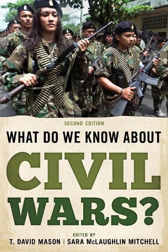 Cover image for What Do We Know about Civil Wars?