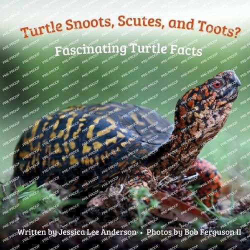 Cover image for Turtle Snoots, Scutes, and Toots? Fascinating Turtle Facts