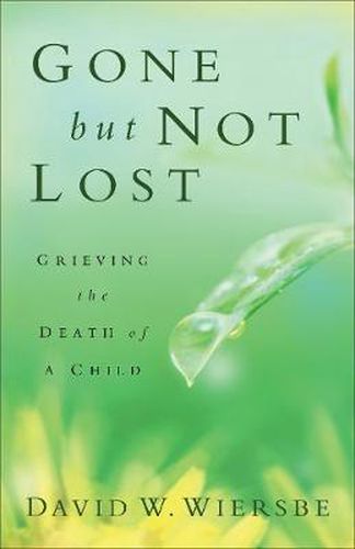 Cover image for Gone but Not Lost - Grieving the Death of a Child