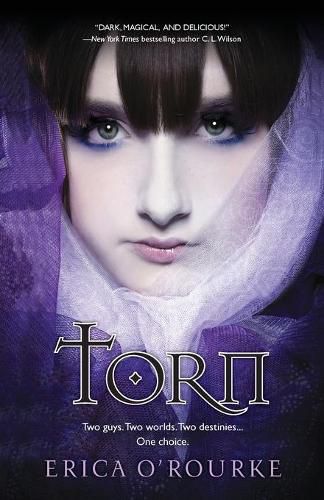 Cover image for Torn
