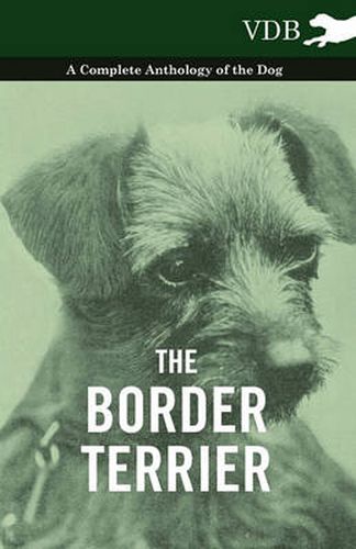 Cover image for The Border Terrier - A Complete Anthology of the Dog -