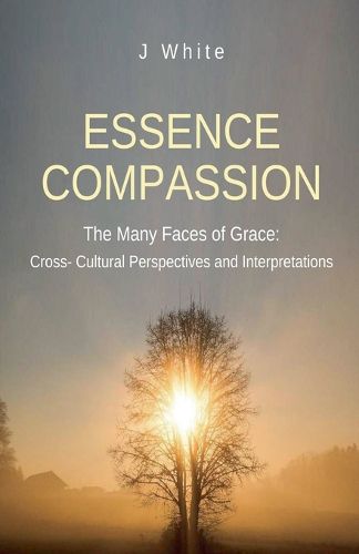 Cover image for The Many Faces of Grace