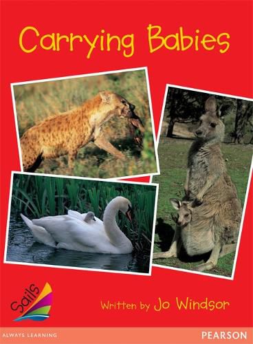 Cover image for Sails Early Red Set 1: Carrying Babies