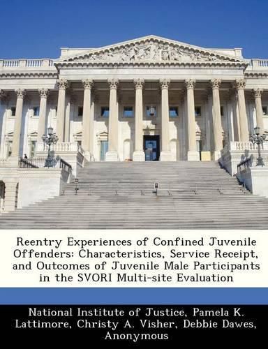 Cover image for Reentry Experiences of Confined Juvenile Offenders