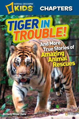 National Geographic Kids Chapters: Tiger in Trouble!: And More True Stories of Amazing Animal Rescues