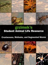 Cover image for Segmented Worms, Crustaceans and Molluscs