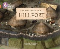 Cover image for Life and Death in an Iron Age Hill Fort: Band 12/Copper