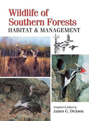 Cover image for Wildlife of Southern Forests: Habitat & Management